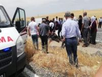 Diyarbakır'da kaza: Bir ölü, 2'si ağır 6 yaralı