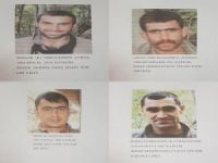 Tunceli'de öldürülen 4 PKK'lı arananlar listesindeydi