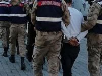 Muş'ta PKK operasyonu: 29 gözaltı