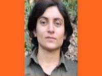 Turuncu kategorideki PKK'lı öldürüldü