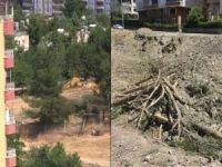 HDP’li belediye 170 ağacı iş makinalarıyla kırıp yerinden söktü