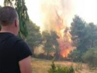 İzmir ve Muğla'da ormanlık alanda yangın!
