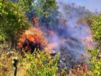 Ormanlık alanda çıkan yangın güçlükle kontrol altına alındı