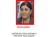 PKK'nın kadın yapılanması sorumlusu öldürüldü
