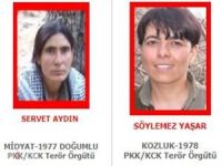 Kırmızı kategoride aranan 2 PKK'lı etkisiz hale getirildi