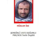 Kırmızı kategoride aranan PKK'lı öldürüldü