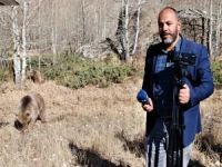 Muhabire ayı saldırısı kamerada