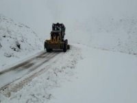 Ağrı'da kar nedeniyle kapanan 450 köy yolu açıldı
