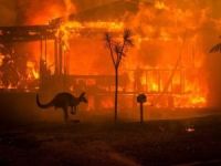 Avustralya'daki yangınlar 240 gün sonra söndü