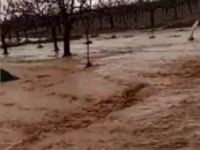 Şanlıurfa'da sağanak yağmur sonrası bazı mahalleler sular altında kaldı