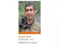 İçişleri Bakanlığı: 1 milyon TL ödülle aranan PKK'lı Mahmut Okay yakalandı
