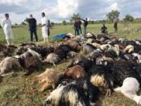 Mardin’de yıldırım faciası: Çoban hayatını kaybetti, 130 hayvan telef oldu