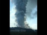 Sakarya'daki havai fişek fabrikasında patlama: Onlarca yaralı var