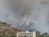 Siyonistler, Filistinlilere ait yüzlerce zeytin ağacını ateşe verdi