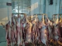 Diyanet Vakfı Bitlis'te 3 bin aileye kurban eti dağıttı