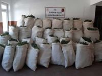 Diyarbakır'da 756 kilo esrar ele geçirildi