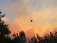 Adana'daki orman yangınına havadan müdahale başladı