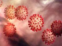 Dünya geneli Coronavirus vaka sayısı 53 milyon 700 bini geçti