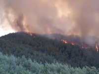 Balıkesir'deki orman yangınında 10 hektar alan zarar gördü