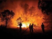 Hatay'daki orman yangını 5'inci gününde devam ediyor