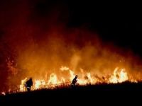 ABD'deki orman yangınlarında ölenlerin sayısı artıyor