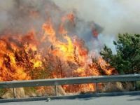Hatay'da dün başlayan orman yangını kontrol altına alınamıyor