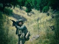 Barış Pınarı bölgesinde 2 PKK/YPG'li öldürüldü