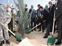 Gür: "11 Kasım Ağaçları Bahane Eden Zihniyete Önemli Bir Mesajdır"
