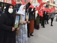 Evlatları PKK tarafından dağa kaçırılan ailelerden HDP'ye tepki