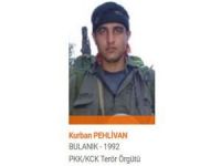 Turuncu kategorideki PKK'lı öldürüldü