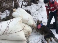 Bingöl kırsalında 218 kilogram toz esrar ele geçirildi