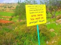 Siyonist işgal devam ediyor: Ramallah'ta 193 dönüm araziye el konuldu