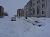 Bitlis yeniden yoğun kar yağışının etkisine girdi