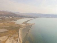 Van Gölü’nün Korunması için "Eylem Planı Değerlendirme Toplantısı" yapıldı