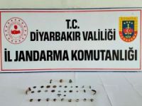 Diyarbakır'da tarihi eser operasyonu