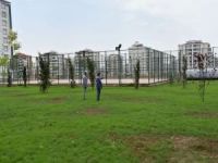 Diyarbakır Bağlar'a 6 bin 500 metrekarelik park projesi