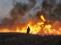 Siyonist işgalciler Nablus'ta tarım arazilerini ateşe verdi