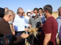 Diyarbakır'da kuraklığın etkilediği çiftçiler milletvekillerine sorunlarını iletti