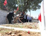 PKK’nın katlettiği 30 köylü mezarları başında anıldı