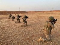 Eren Kış-1 Operasyonu'nda 2 PKK'lı öldürüldü
