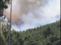 Orman Genel Müdürlüğü: Marmaris'teki yangında şehidimiz var