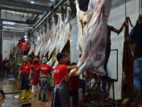 Yetimler Vakfı, on binlerce aileye kurban eti dağıtmaya hazırlanıyor