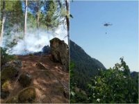 Bakan Pakdemirli'den Adana'daki orman yangınına ilişkin açıklama