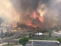 AFAD: Manavgat'taki yangından 30 kişi etkilendi