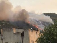 Osmaniye'de orman yangını: Bazı evler tahliye ediliyor