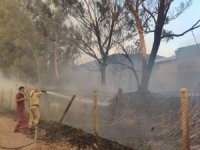 Antalya'daki orman yangınında bir can kaybı