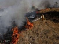 Adana'daki yangın 2 ilçeye daha sıçradı