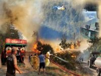 Yangınlardan etkilenen yerler "Genel Hayata Etkili Afet Bölgesi" ilan edildi