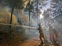 Türkiye genelindeki 112 orman yangınından 107'si kontrol altında