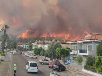 Orman yangınlarıyla mücadele 4 ilde devam ediyor